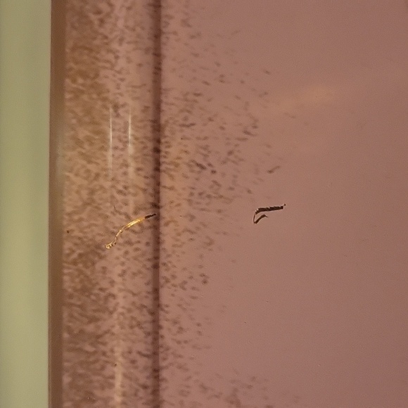 Buck Wear metal hunting sign - Picture 5 of 9